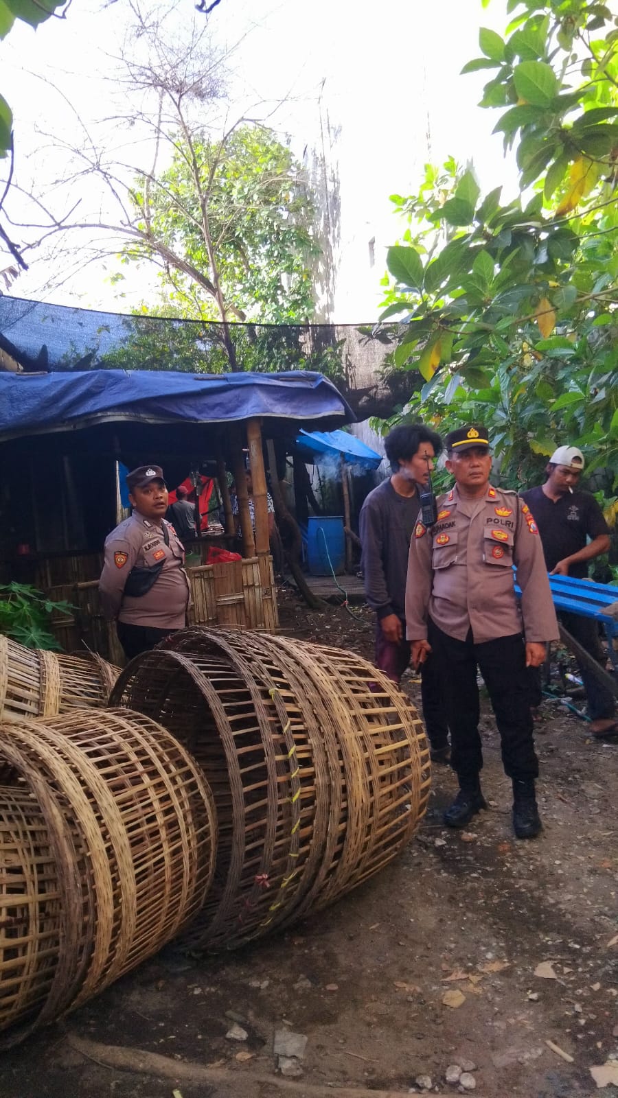 IMG 20260514 WA0098