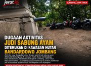 Dugaan Aktivitas Judi Sabung Ayam Ditemukan di Kawasan Hutan Bandardowo Jombang