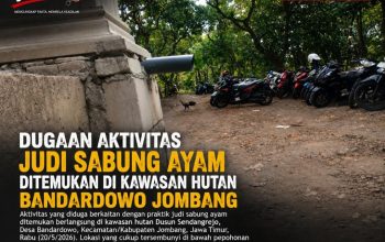 Dugaan Aktivitas Judi Sabung Ayam Ditemukan di Kawasan Hutan Bandardowo Jombang