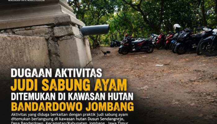 Dugaan Aktivitas Judi Sabung Ayam Ditemukan di Kawasan Hutan Bandardowo Jombang