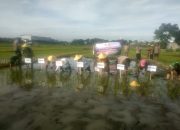 Polri Hadir di Tengah Petani, Percepatan Tanam di Kaliombo Perkuat Ketahanan Pangan 11 IMG 20260527 WA0106