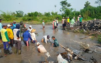 Demi Kelancaran Irigasi Pertanian, Babinsa Kamulan Dampingi Pembersihan Sungai Sodetan Kaliputih