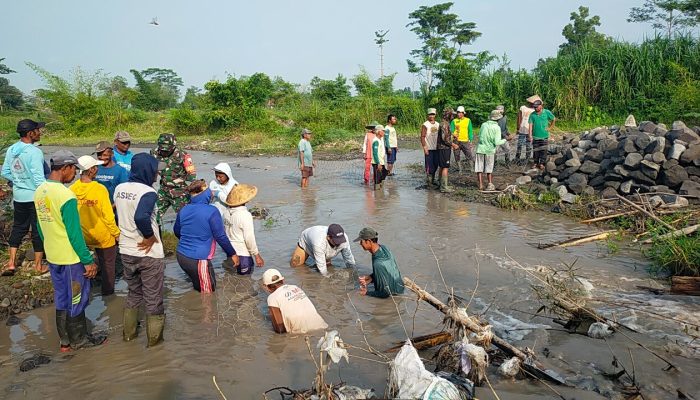 Demi Kelancaran Irigasi Pertanian, Babinsa Kamulan Dampingi Pembersihan Sungai Sodetan Kaliputih