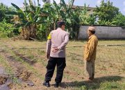Polisi Sahabat Petani, BKTM Desa Bulu Aktif Dampingi Ketahanan Pangan