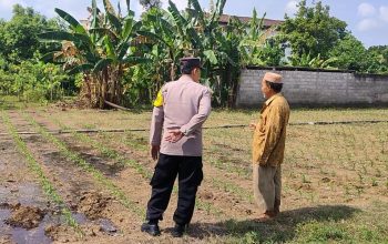 Polisi Sahabat Petani, BKTM Desa Bulu Aktif Dampingi Ketahanan Pangan