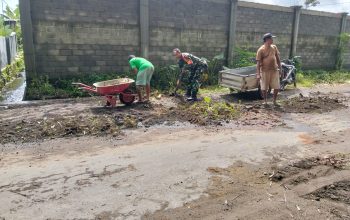 Wujud Nyata Kemanunggalan TNI-Rakyat, Babinsa Candirejo Gotong Royong Bersihkan Jalan Desa