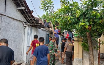 Wujud Kemanunggalan TNI, Babinsa Kademangan Bersama Warga Gotong Royong Rehab Rumah Layak Huni 4 IMG 20260611 WA0036