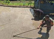 Sinergi Ketahanan Pangan, Babinsa Selorejo Turun Ke Sawah Bantu Warga Siapkan Lahan Padi