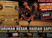 IMG 20260617 WA0012