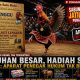 Sabung Ayam di Jatilengger Ponggok Blitar  Berlangsung Terbuka, Terkesan Di Biarkan.