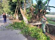 Wujud Kemanunggalan TNI, Babinsa Ngoran Pelopori Gotong Royong Bersihkan Jalan Desa 9 IMG 20260617 WA0052