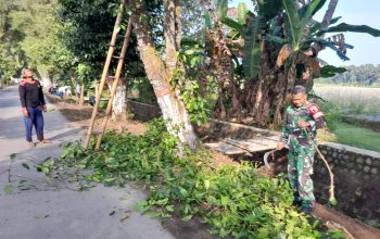 Wujud Kemanunggalan TNI, Babinsa Ngoran Pelopori Gotong Royong Bersihkan Jalan Desa 3 IMG 20260617 WA0052