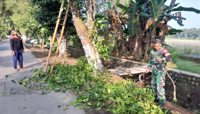 Wujud Kemanunggalan TNI, Babinsa Ngoran Pelopori Gotong Royong Bersihkan Jalan Desa