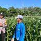 Bhabinkamtibmas Wonoasri Dampingi Petani Jagung, Wujud Nyata Dukungan Polri terhadap Ketahanan Pangan Nasional