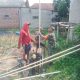 IMG 20260627 WA0115