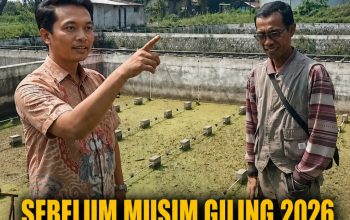 SEBELUM MUSIM GILING 2026, PG MERITJAN LAKUKAN PEMBENAHAN SISTEM PENGELOLAAN LIMBAH