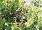 Lestarikan Alam, Babinsa Sidomulyo Sertu Deny Bersama Warga Gelar Aksi Tanam Pohon 9 IMG 20260702 WA0043