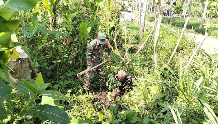 Lestarikan Alam, Babinsa Sidomulyo Sertu Deny Bersama Warga Gelar Aksi Tanam Pohon