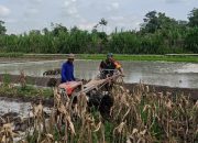 Perrcepat Masa Tanam, Babinsa Sumberingin Kopda Nizar Dampingi Petani Membajak Sawah 9 IMG 20260706 WA0049