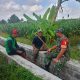 Serap Aspirasi Petani, Sertu Yudhi Rimba Gelar Komsos Ketahanan Pangan Bersama Poktan Kembang Kuning