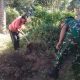 Babinsa Ngadri Bersama Warga Gelar Penghijauan, Tanam Pohon Durian dan Nangka