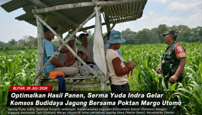 Optimalkan Hasil Panen, Serma Yuda Indra Gelar Komsos Budidaya Jagung Bersama Poktan Margo Utomo