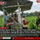 Optimalkan Hasil Panen, Serma Yuda Indra Gelar Komsos Budidaya Jagung Bersama Poktan Margo Utomo