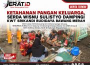 Ketahanan Pangan Keluarga, Serda Wisnu Sulistyo Dampingi KWT Srikandi Budidaya Bawang Merah