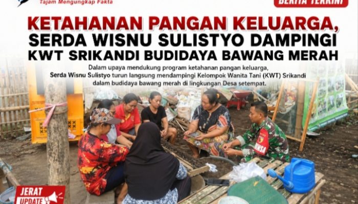 Ketahanan Pangan Keluarga, Serda Wisnu Sulistyo Dampingi KWT Srikandi Budidaya Bawang Merah