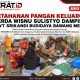 Ketahanan Pangan Keluarga, Serda Wisnu Sulistyo Dampingi KWT Srikandi Budidaya Bawang Merah