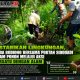 Lestarikan Lingkungan, Serda Budiono Bersama Poktan Sidodadi Tanam Pohon Melalui Aksi Bersatu Dengan Alam