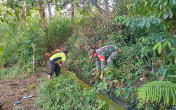 TNI Manunggal Air, Serka Imam Sungep Bersama Warga Kedung Banteng Gotong Royong Bersihkan Irigasi 3 IMG 20260804 WA0035