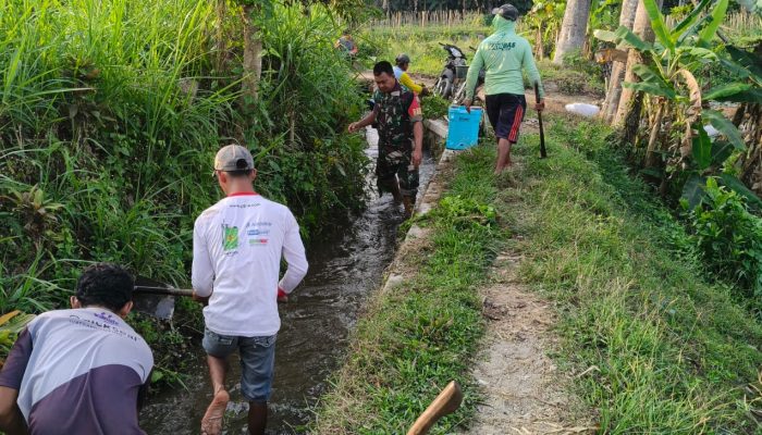 Dukung Ketahanan Pangan, Serda Nurhatib Dampingi Poktan Margo Rukun III Bersihkan Irigasi Sawah