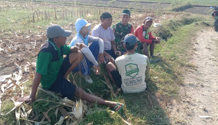 Perkuat Swasembada Pangan, Serda Fiyan Setyadi Gelar Komsos Bersama Poktan Sumber Makmur