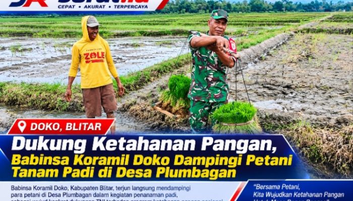 Dukung Ketahanan Pangan, Babinsa Koramil Doko Dampingi Petani Tanam Padi di Desa Plumbagan