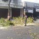 Antisipasi Pohon Tumbang Di Musim Pancaroba, Babinsa Sukorejo Bersinergi Dengan DLH Kota Blitar