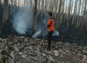 Cepat Tanggap, Babinsa Koramil Sutojayan Bersama Tim Gabungan Berhasil Padamkan Karhutla 2 Hektar Di Blitar