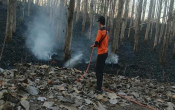 Cepat Tanggap, Babinsa Koramil Sutojayan Bersama Tim Gabungan Berhasil Padamkan Karhutla 2 Hektar Di Blitar