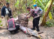 Respon Laporan Warga, Polresta Sidoarjo Bongkar Arena Sabung Ayam di Dua Lokasi 9 IMG 20260920 WA0072