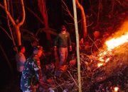 Aksi Sigap Babinsa Dan Warga Padamkan Kebakaran Hutan Jati Di Pagerwojo Blitar 10 IMG 20260923 WA0029