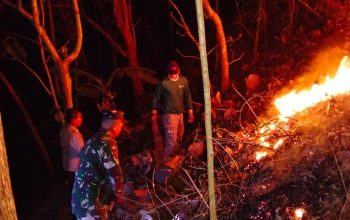 Aksi Sigap Babinsa Dan Warga Padamkan Kebakaran Hutan Jati Di Pagerwojo Blitar 4 IMG 20260923 WA0029