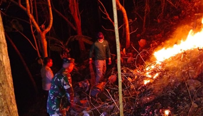 Aksi Sigap Babinsa Dan Warga Padamkan Kebakaran Hutan Jati Di Pagerwojo Blitar