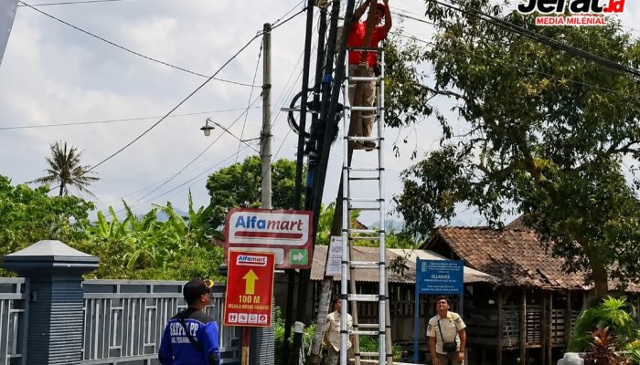 Satpol PP Tulungagung Tertibkan Tiang dan Kabel Fiber Optik Tak Berizin di Kedungwaru-Gondang