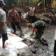 Wujud Nyata Ketahanan Pangan, Babinsa Kelurahan Tanggung Bersama Petani Gotong Royong Perbaiki Saluran Irigasi