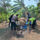 Polsek Waru Bongkar Arena Sabung Ayam di Bungurasih Utara