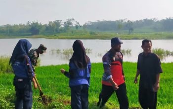 Telaga Mojorejo Makin Asri, Babinsa Bersama Komunitas Dan Pelajar Gelar Aksi Penghijauan