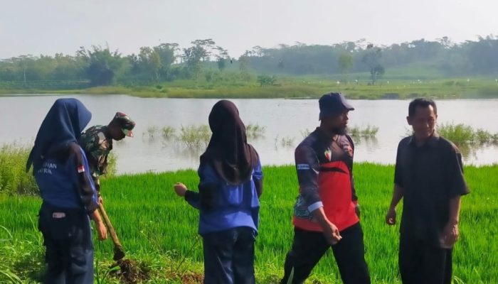 Telaga Mojorejo Makin Asri, Babinsa Bersama Komunitas Dan Pelajar Gelar Aksi Penghijauan