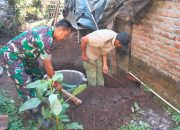 Tingkatkan Sanitasi Sehat, Babinsa Koramil 0808/11 Binangun Gotong Royong Buat Jamban Warga