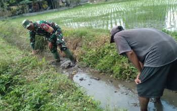 Cegah Genangan Dan Optimalkan Irigasi, Babinsa Koramil 0808/20 Sananwetan Gotong Royong Bersihkan Aliran Air Lahan Padi