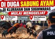 IMG 20261023 WA0069